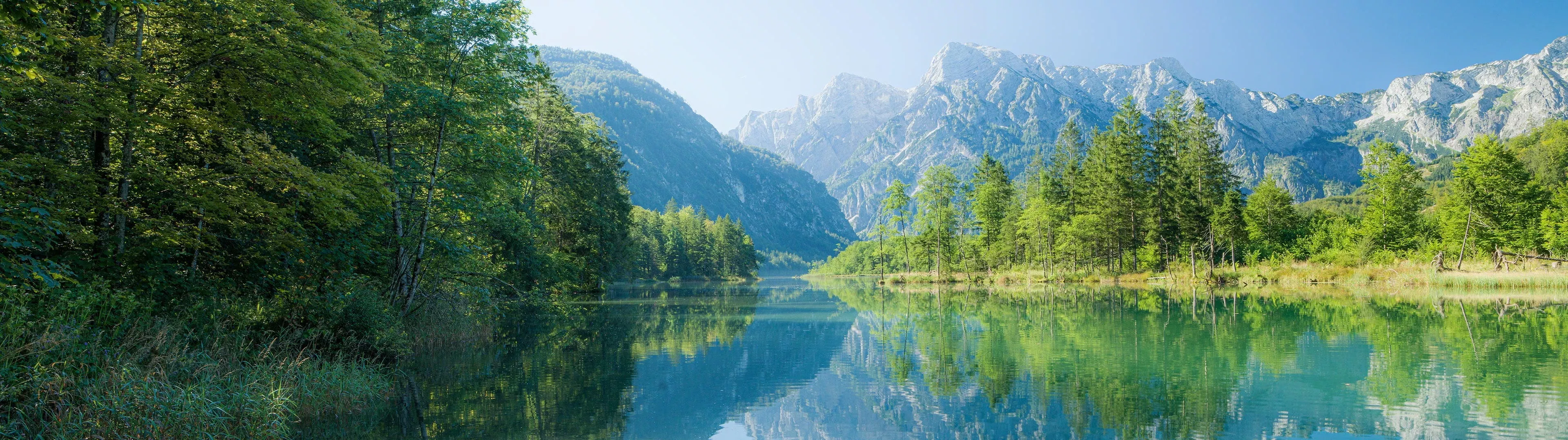 Weitere und kaufmännische Berufe