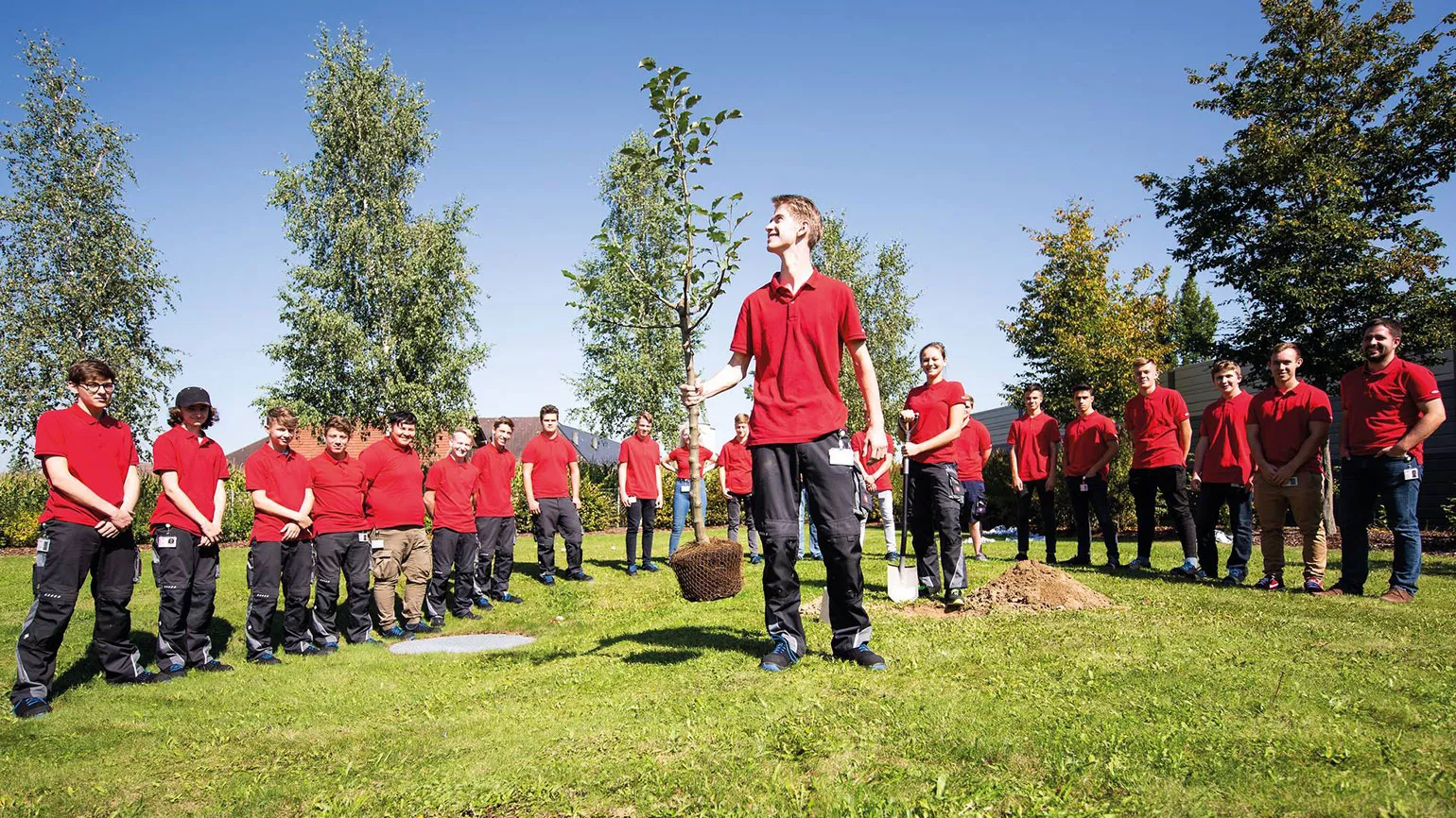 Employees planting a tree