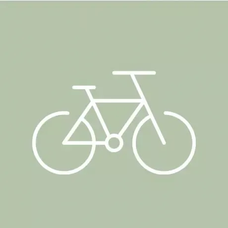 Icon bike